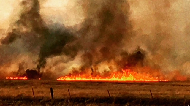 How I Learned to Fear Wildfires More than Tornadoes